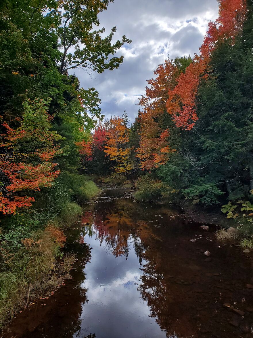 Here Are 19 Random Photos From My Camera Roll