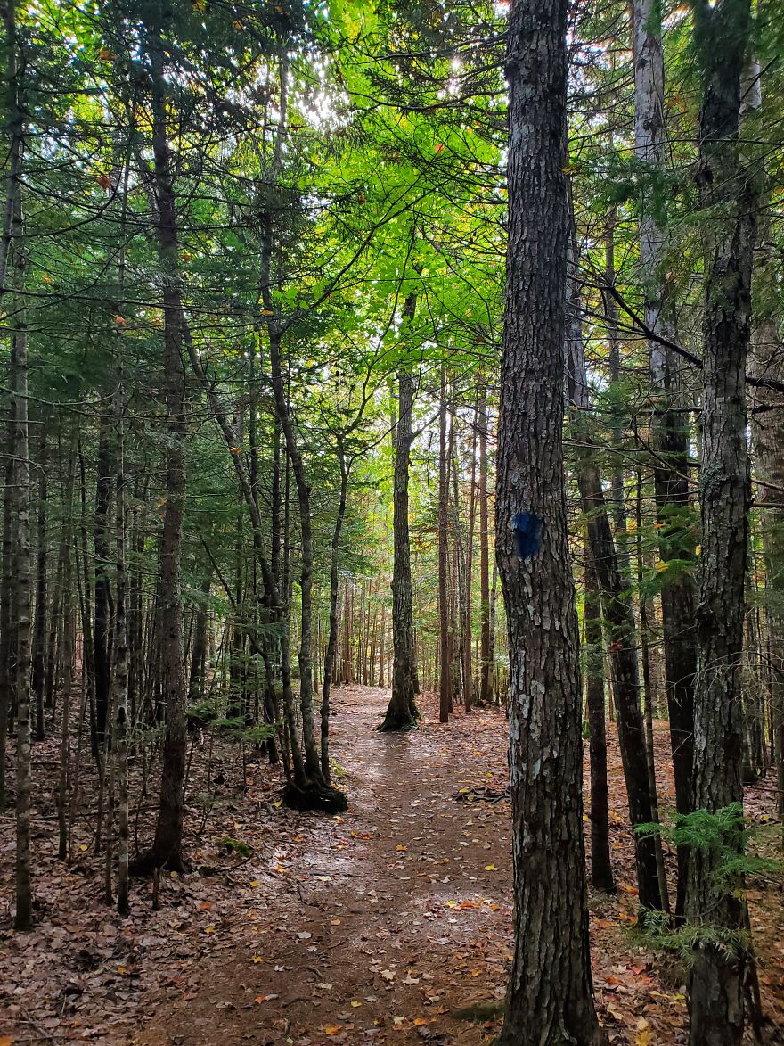 Here Are 19 Random Photos From My Camera Roll