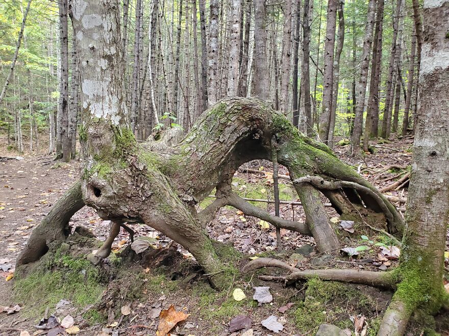 Here Are 19 Random Photos From My Camera Roll