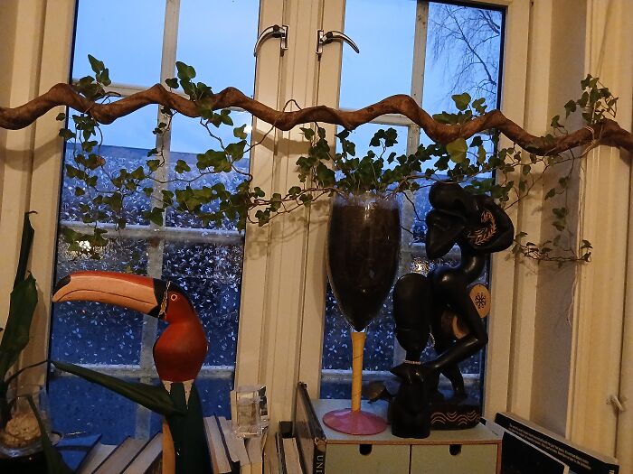 My Ivy. Can Wait For The Sun To Come Back And Give It Some More Omph