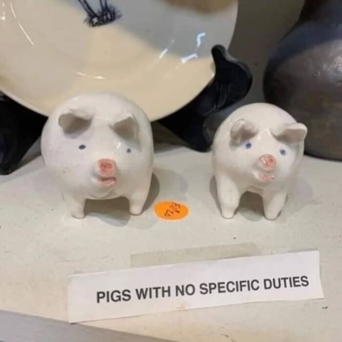 Two ceramic pigs labeled "Pigs with no specific duties" as a funny meme for a mood booster.
