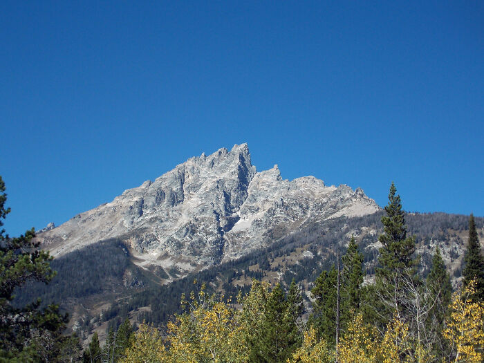 Mountain peaks under a clear blue sky with forest in the foreground, showcasing amazing views in the states.