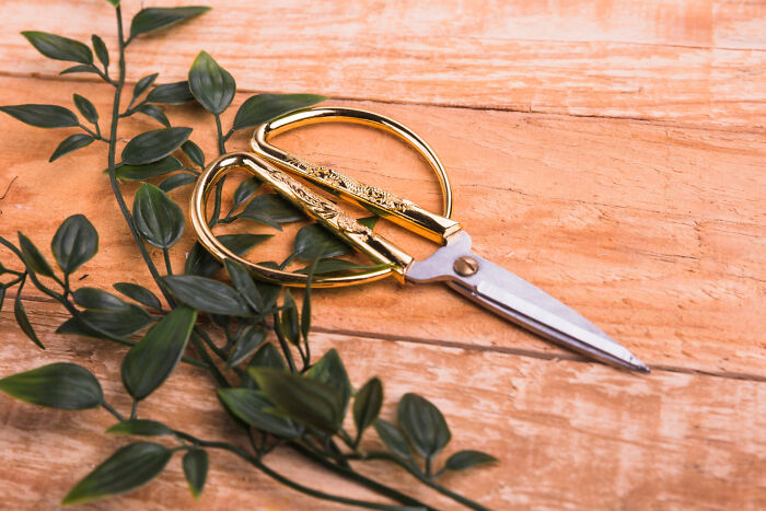 Gold scissors on wooden table beside green leaves, illustrating strict home decor rules.