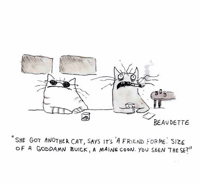 Goofy illustration by Kyle Beaudette featuring two cats, one smoking and exclaiming about a large Maine C**n.