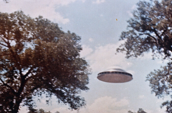UFO hovering between trees on a clear day, representing weird unsolved mysteries.