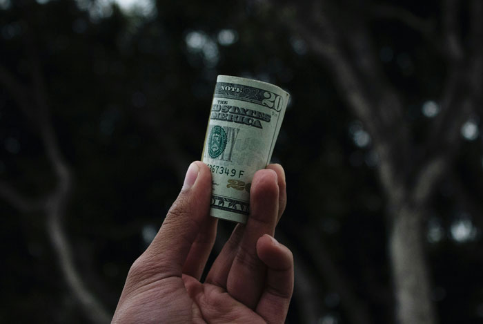 A hand holding rolled US dollar bills, symbolizing corruption.