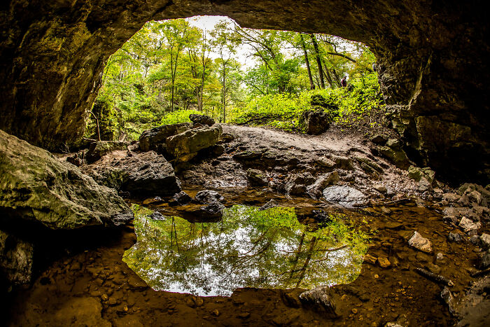 Cave entrance with natural pool reflecting trees, showcasing amazing views in states, surrounded by lush greenery and rocks.