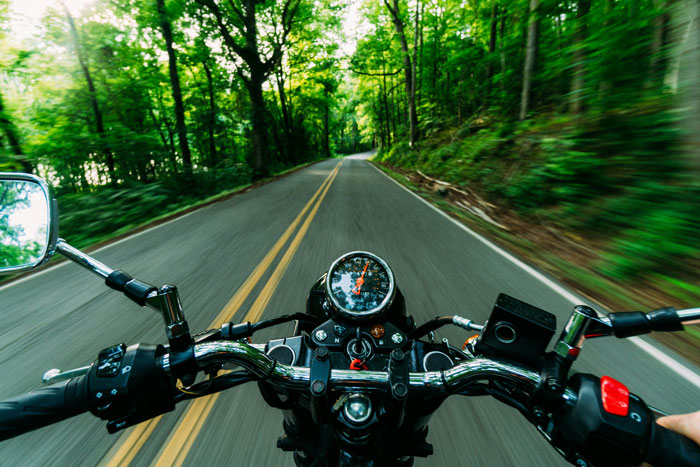 Motorcycle POV on forest road, exploring unsolved true crime surroundings.