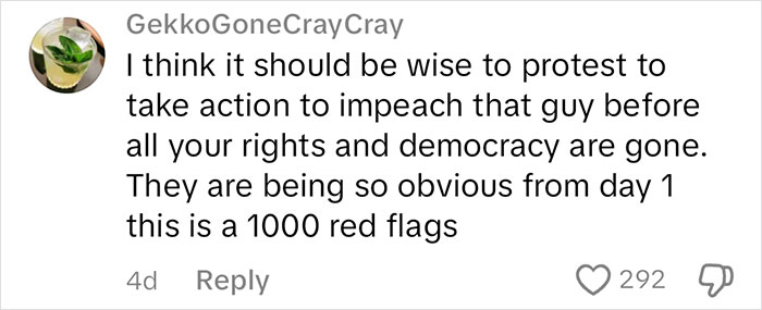 Text from user expressing concern about impeachment, mentioning “1000 red flags,” with 292 likes and 4-day timestamp.