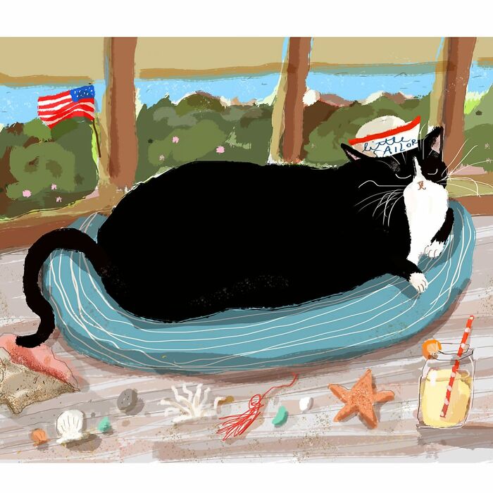 A cozy black and white cat lounges on a blue cushion by the window, surrounded by seashells and ocean views.