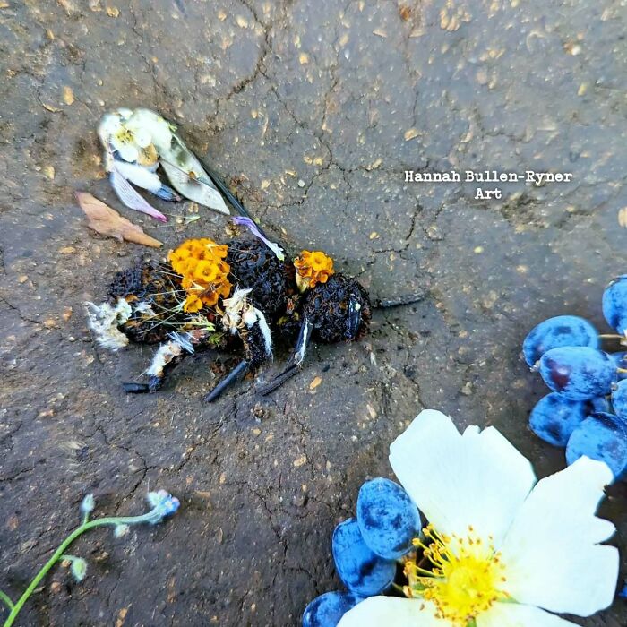 Animal portrait made from natural materials, featuring a bee crafted with leaves and flowers on a textured surface.