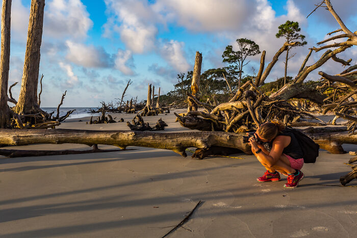 Photographer capturing amazing views of driftwood on a beach, with dramatic clouds and trees in the background.
