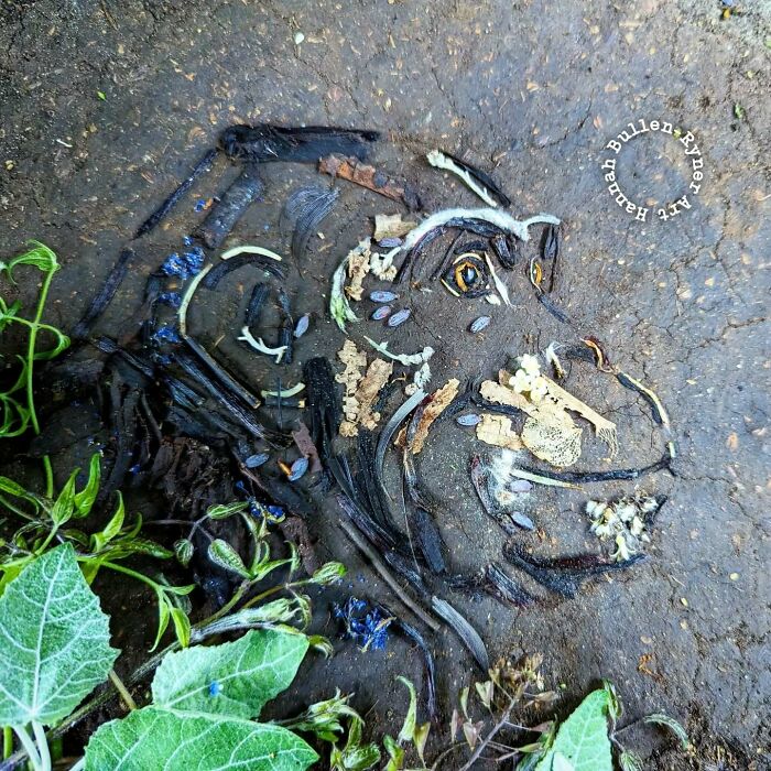 Animal portrait created with natural materials on the ground, featuring leaves and petals.