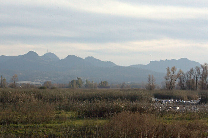 Scenic view of Sutter Buttes with grassy fields and a mysterious atmosphere, related to weird unsolved mysteries.