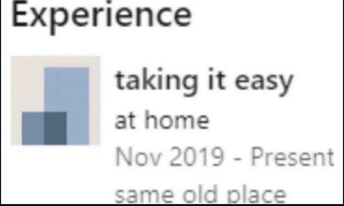 Funny meme text mimicking a resume entry: "taking it easy at home, Nov 2019 - Present, same old place."