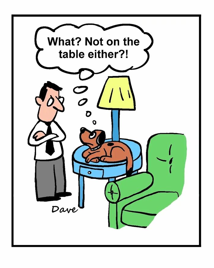 Humorous comic of a dog on a table, thinking, "What? Not on the table either?!" while a man watches.