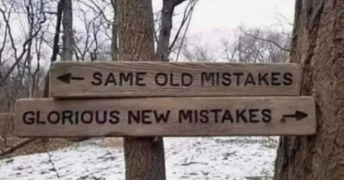 Wooden signs in a forest read "Same Old Mistakes" and "Glorious New Mistakes," providing a funny mood booster.