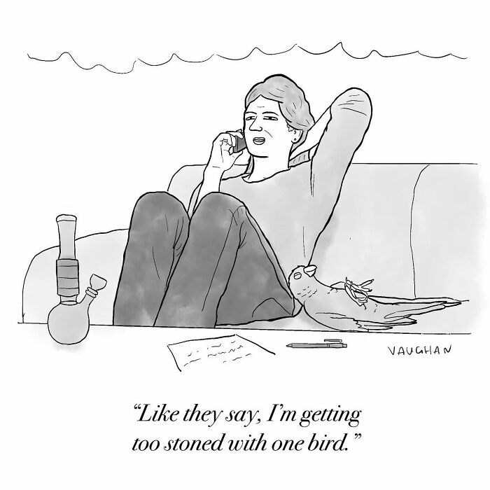 Person on a couch talking, with a bird nearby and a bong on the table; clever observational comic by Vaughan Tomlinson.