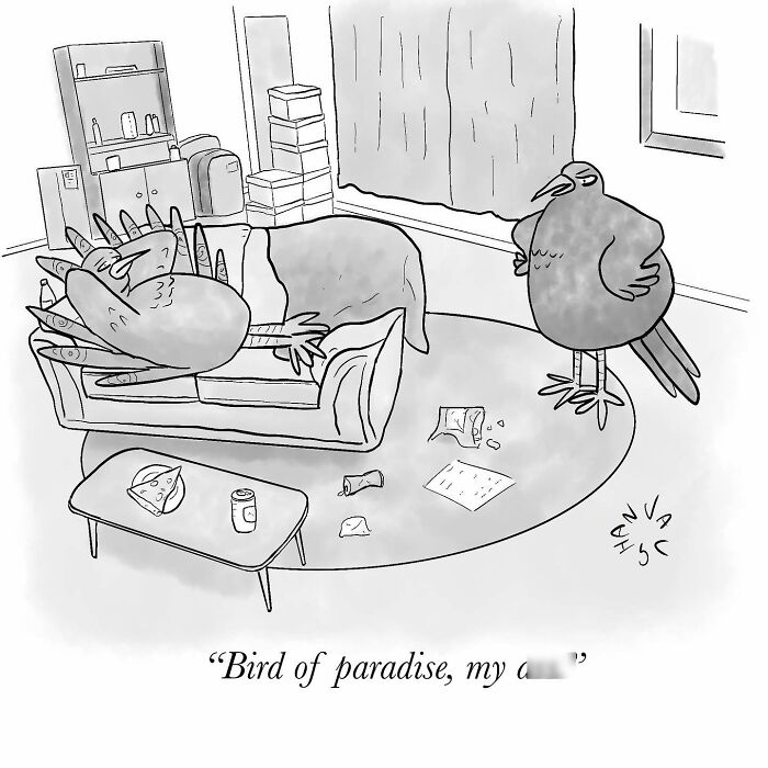Observational comic by Vaughan Tomlinson featuring birds in a humorous living room scene with clutter.