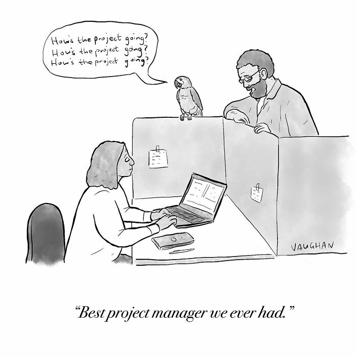 Observational comic by Vaughan Tomlinson showing a parrot repeating "How's the project going?" between two office workers.