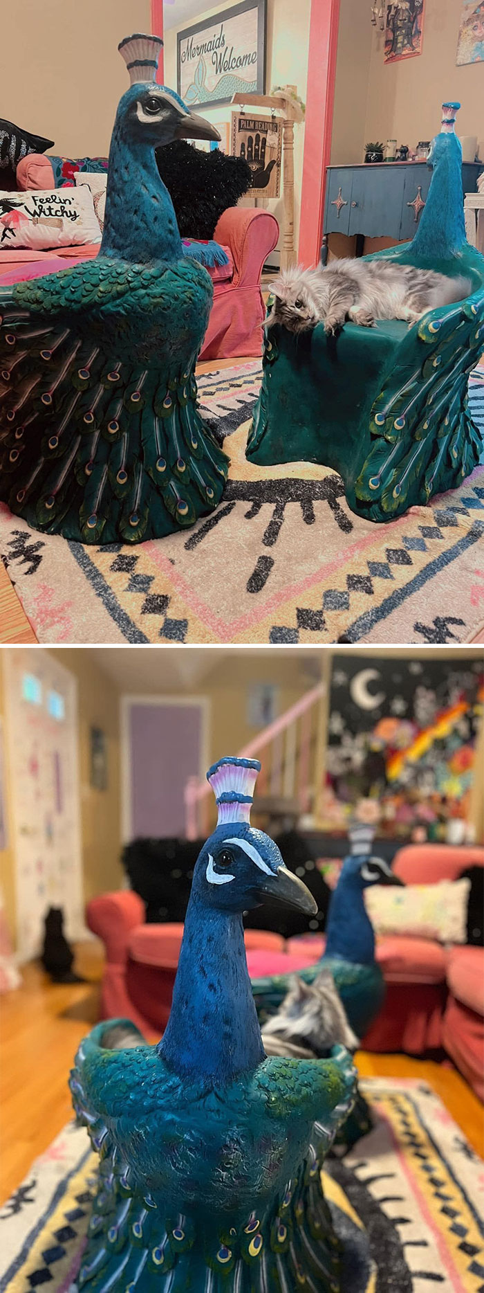 Secondhand find: Peacock-themed home decor with a cat lounging inside, in a colorful living room.