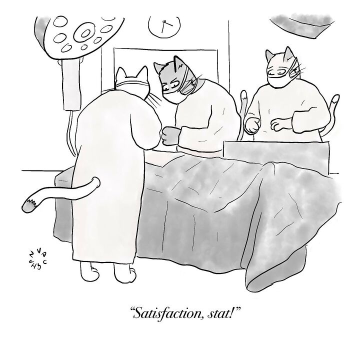 Cats as surgeons in an observational comic by Vaughan Tomlinson, humorously saying, "Satisfaction, stat!"