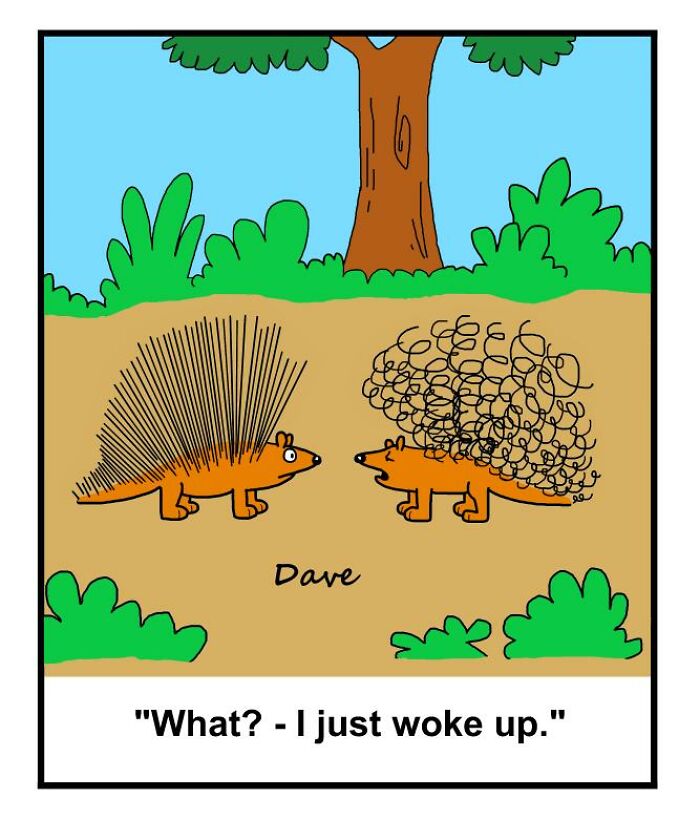 Two cartoon hedgehogs in a humorous comic, one with messy quills saying, "What? - I just woke up," in a forest setting.
