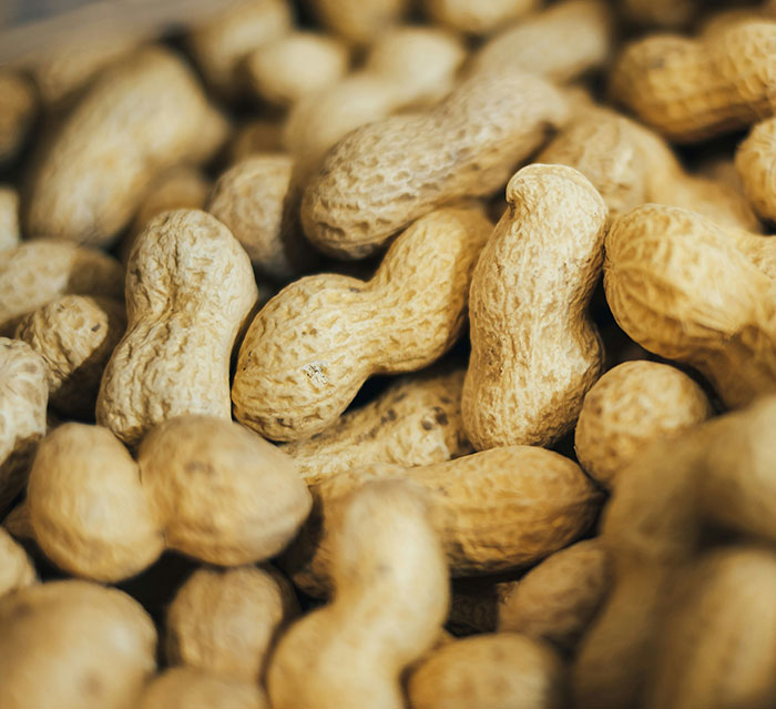 Peanuts in shells, highlighting food safety concerns in unwashed blender usage.
