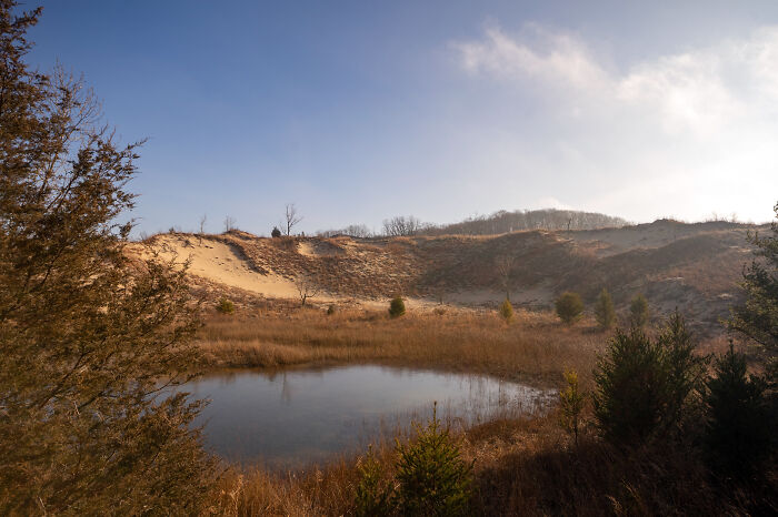 Scenic view of dunes and pond at Indiana Dunes State Park.