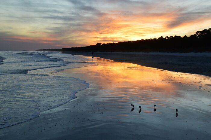 Sunset reflecting on a beach with silhouettes of birds, showcasing amazing views in a serene coastal state.