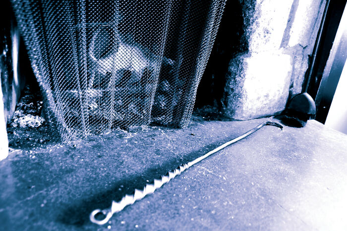 Vibrant orange and yellow flowers under sunlight.