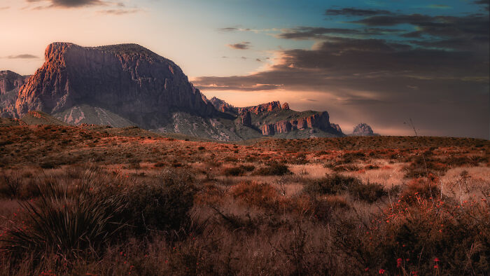 Desert landscape showcasing amazing views with rugged mountains in the background at sunset.