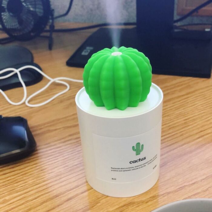 Cactus-shaped humidifier on a desk, showcasing affordable 5-star items under $20.