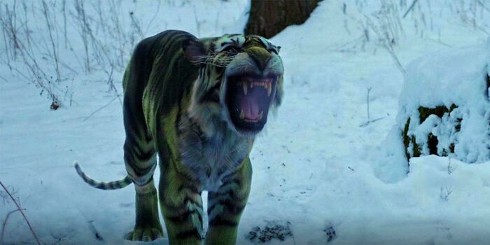 Tiger roaring in snowy forest scene highlighting questionable movie details mocked by cinephiles online.