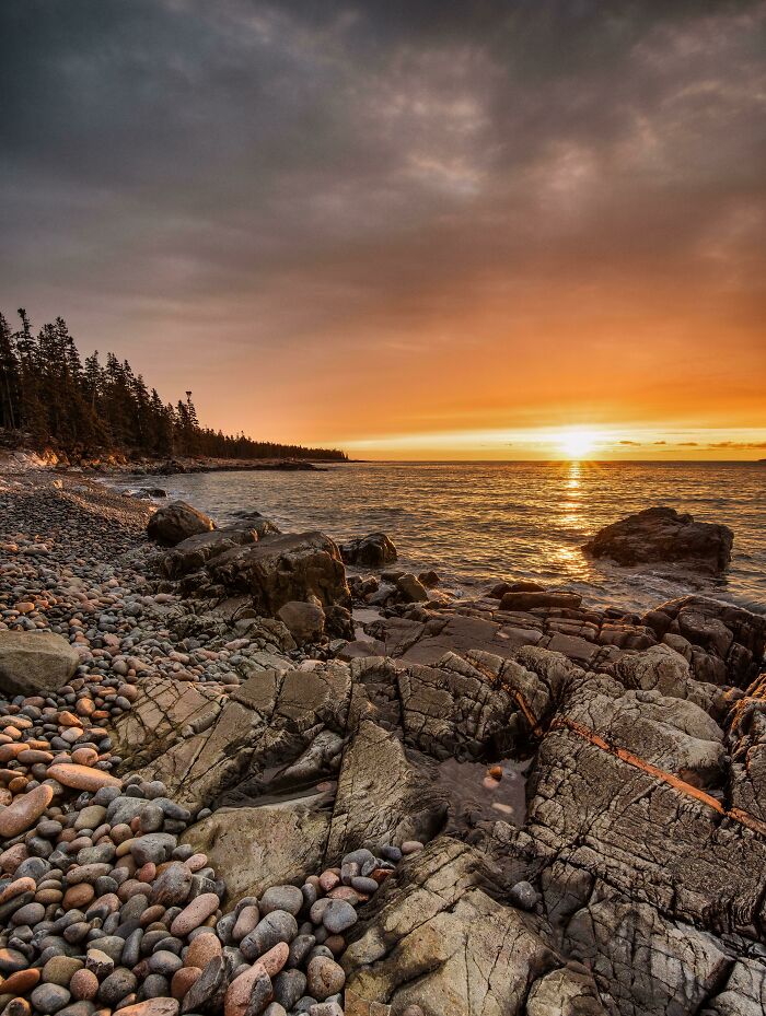 Encontré estas increíbles líneas de cobre en la roca volcánica de la costa del Parque Nacional de Acadia, Maine.