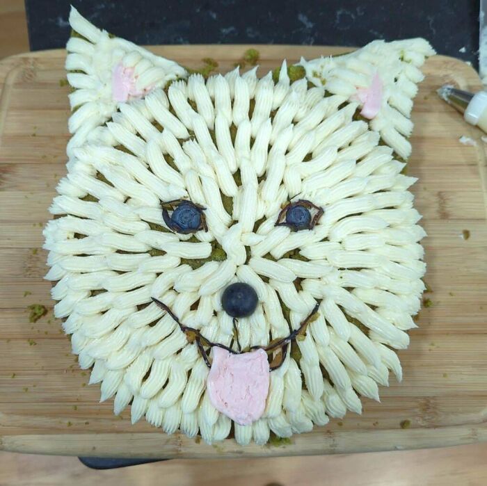 Creative cake shaped like a dog's face showcasing bakers' culinary skills.