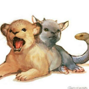 alizaelias-bachrach_1 avatar