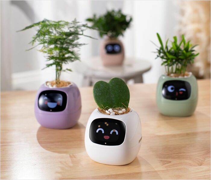 Cute robot plant pots with playful faces, making life feel simple and joyful on a wooden table.