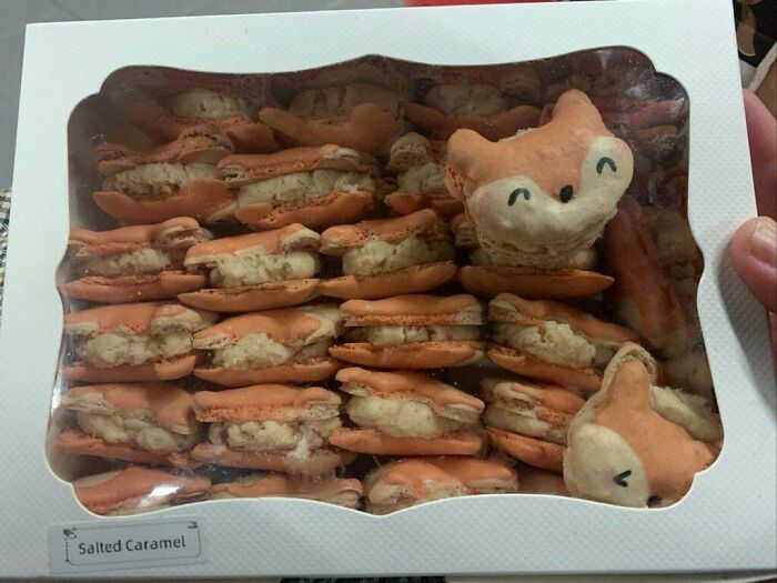 Box of salted caramel fox-shaped macarons showcasing creative baking designs.