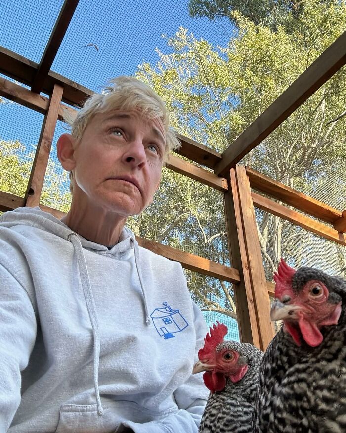 "She Was Laughing At Me": Ellen Degeneres Accused Again Of Being "Mean" As Former Guest Speaks Up