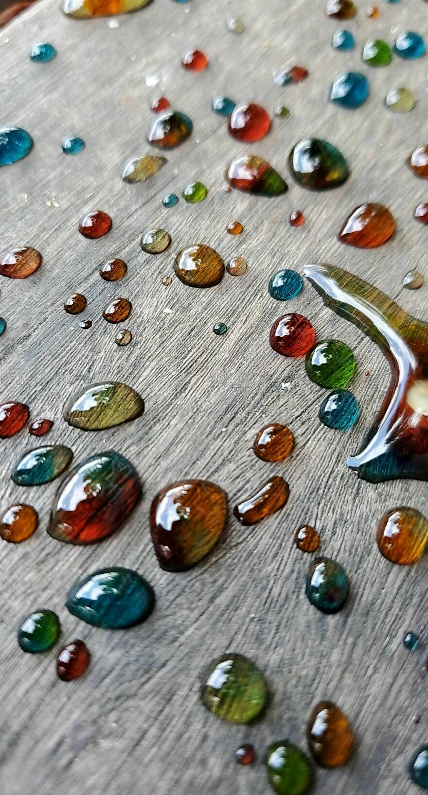 Colorful droplets spread across a surface, creating an accidental art effect.