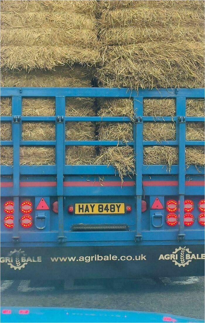 Blue truck loaded with hay bales, featuring a humorous UK license plate: "HAY 848Y," showcasing British humor.