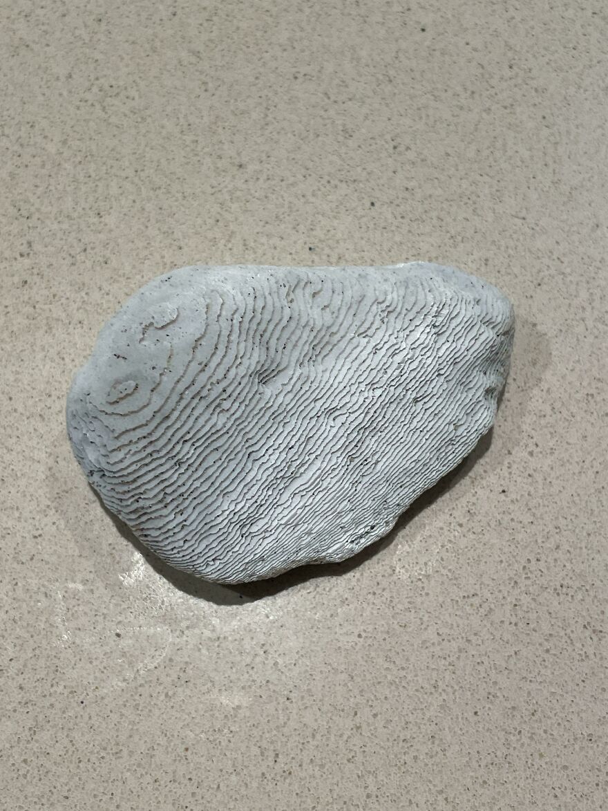 A rock resembling a human fingerprint with intricate lines and patterns on a flat surface.