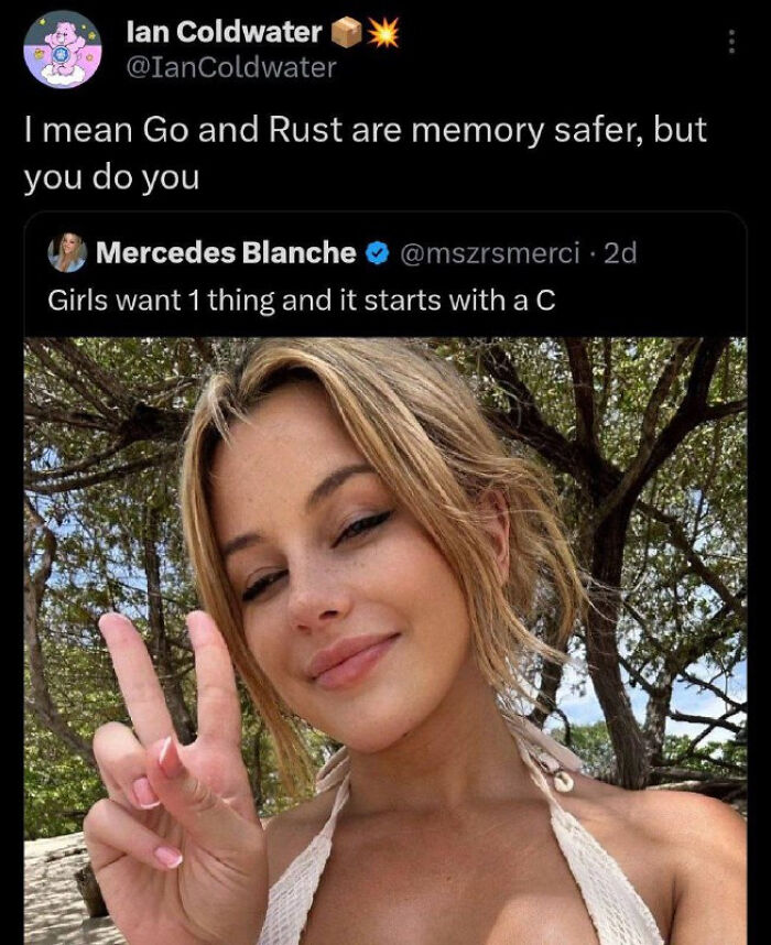 Tweet meme humorously comparing programming languages Go and Rust in a programmer community post.
