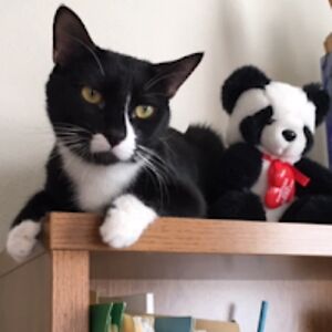 davidbrown_17 avatar