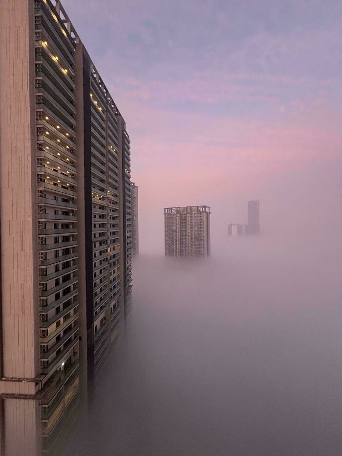 Tall urban buildings emerging from thick fog under a pink sky, creating a surreal urban hellscape.