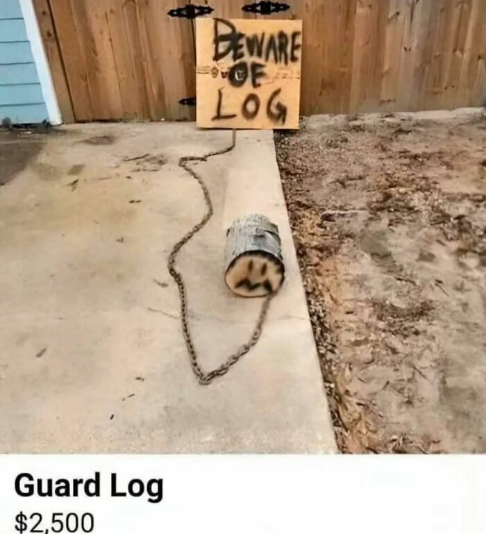 A weird side of the internet picture shows a chained log with a guard sign on a driveway, blending humor and oddity.