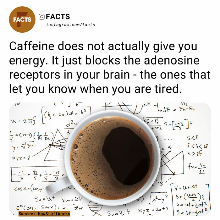 Cup of coffee over math equations with a fact about caffeine's effect on adenosine receptors.