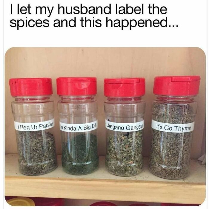 Four spice jars with humorous dad joke labels: "I Beg Ur Parsley," "I’m Kinda A Big Dill," "Oregano Gangsta," "It’s Go Thyme."