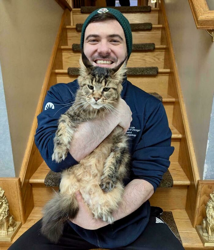 Man holding a large, fluffy cat on staircase, creating a confusing perspective illusion.